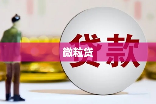 千山微粒贷