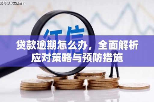 千山贷款逾期怎么办，全面解析应对策略与预防措施