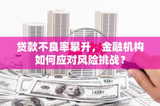 千山贷款不良率攀升，金融机构如何应对风险挑战？